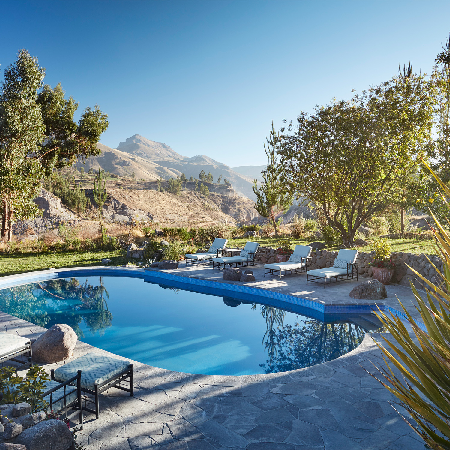 COL-POOL-02-1