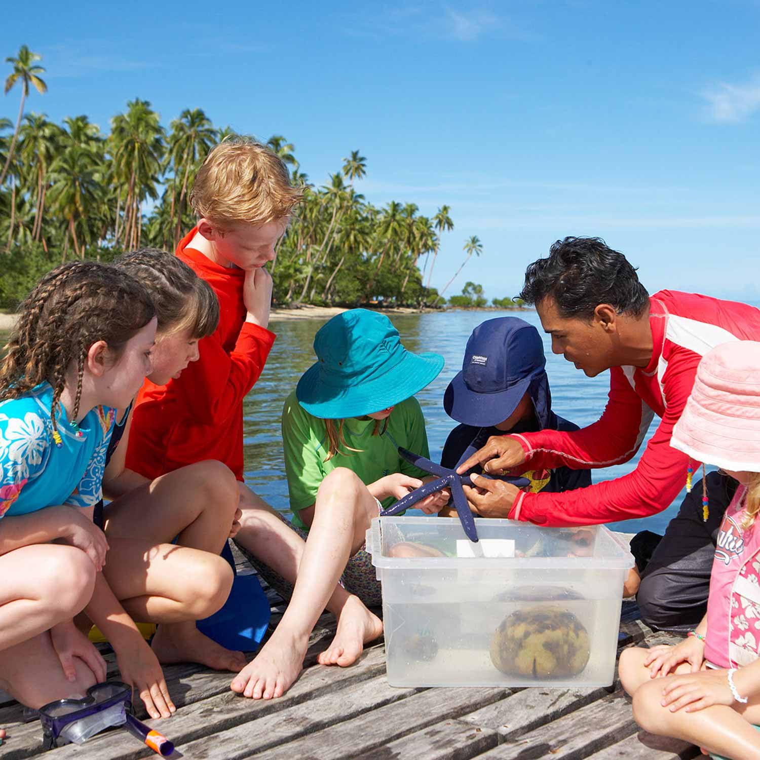 Cousteu fiji - family enjoying starfish