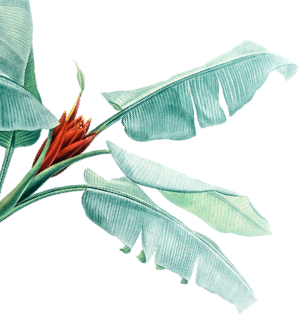 Flower with leaves