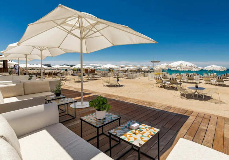 carlotn cannes