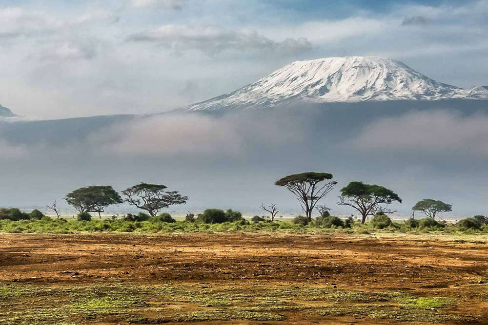 kilimanjaro