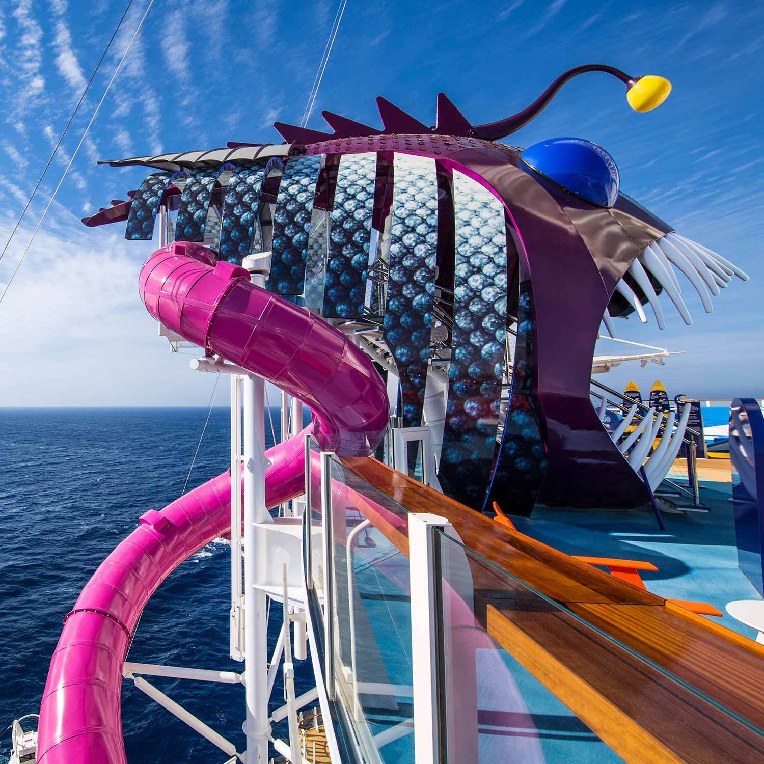 Royal Caribbean fish slide