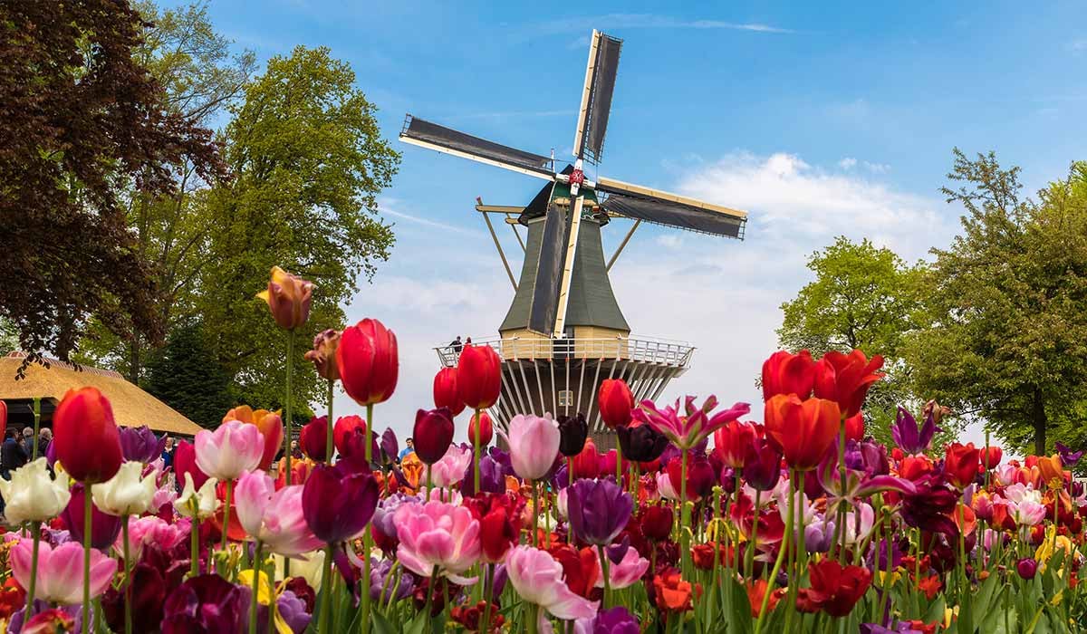 ama-windmills-1200