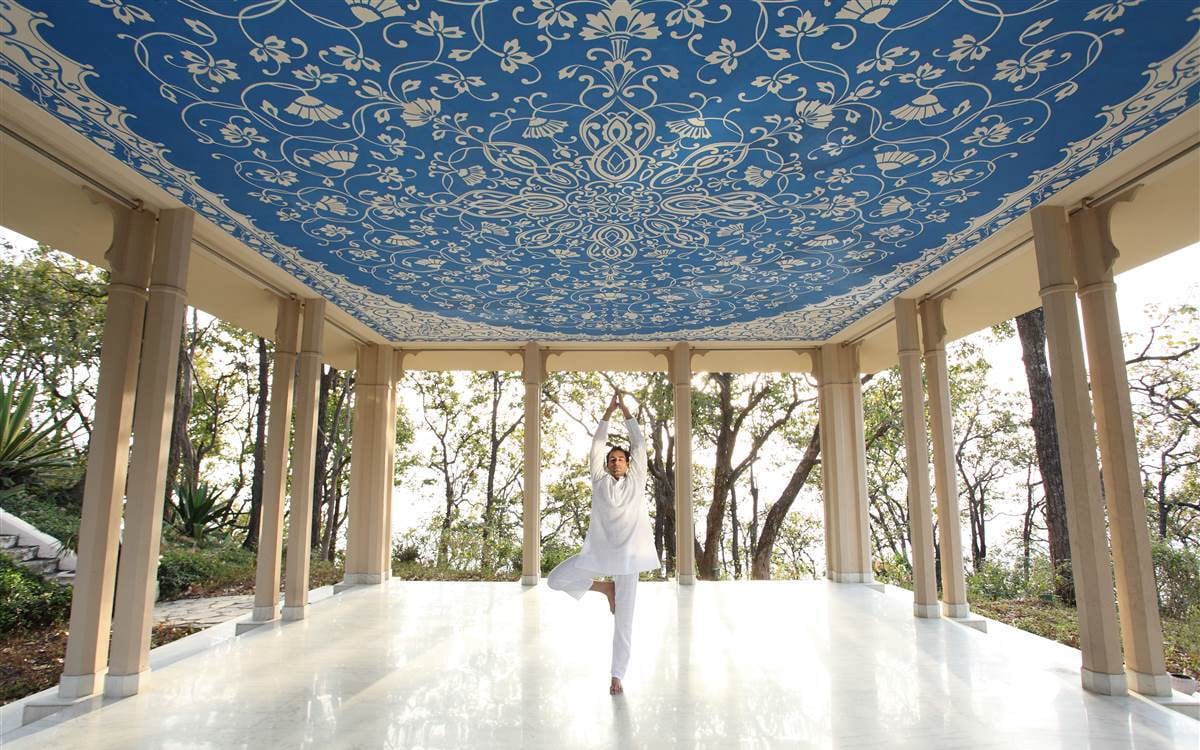 ananda in the himalayas