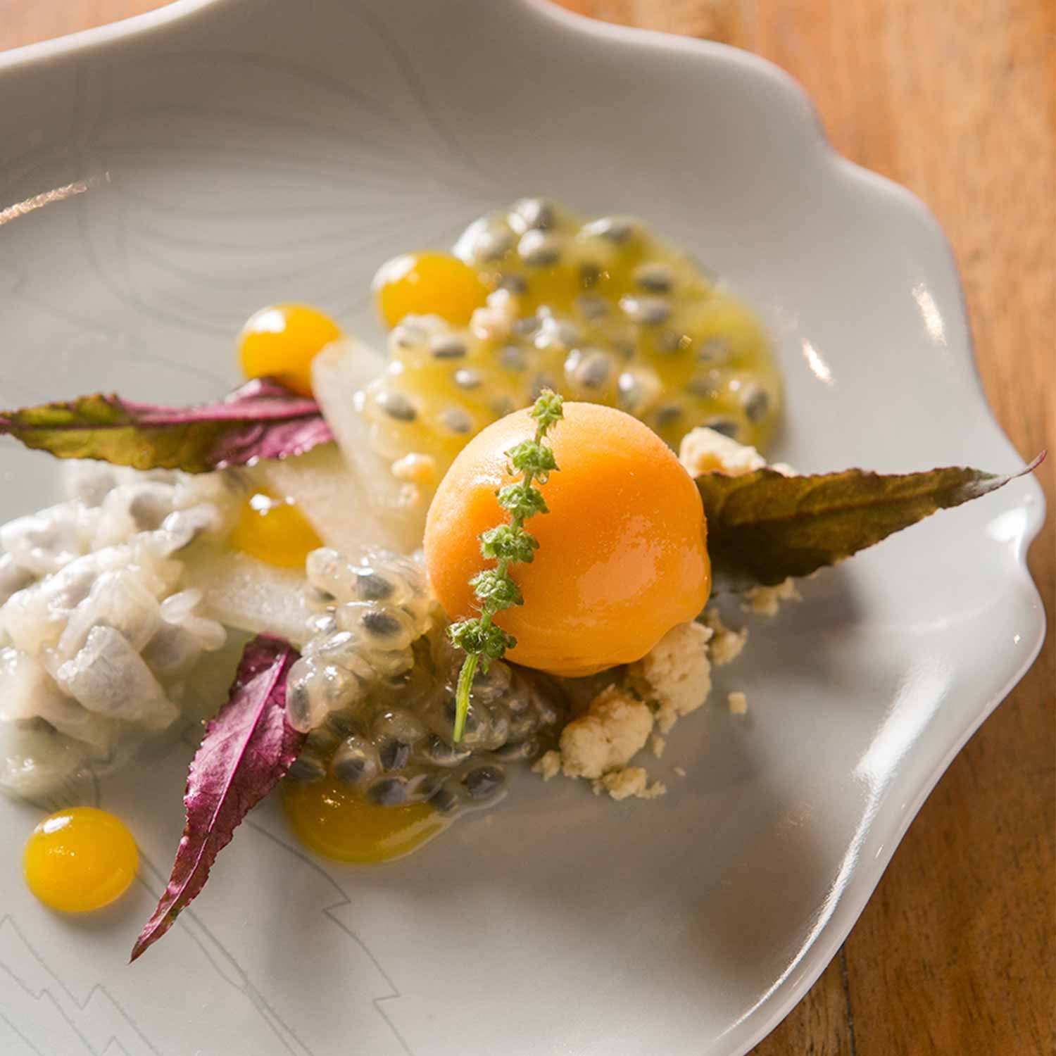 aqua-food-1500