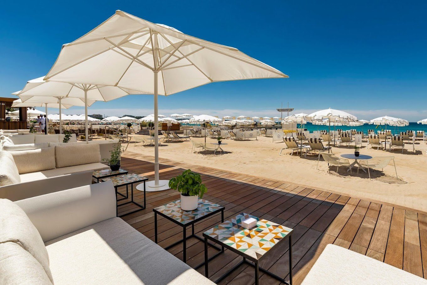 carlotn cannes IHG