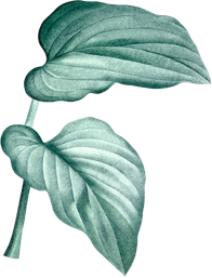 leaves-two