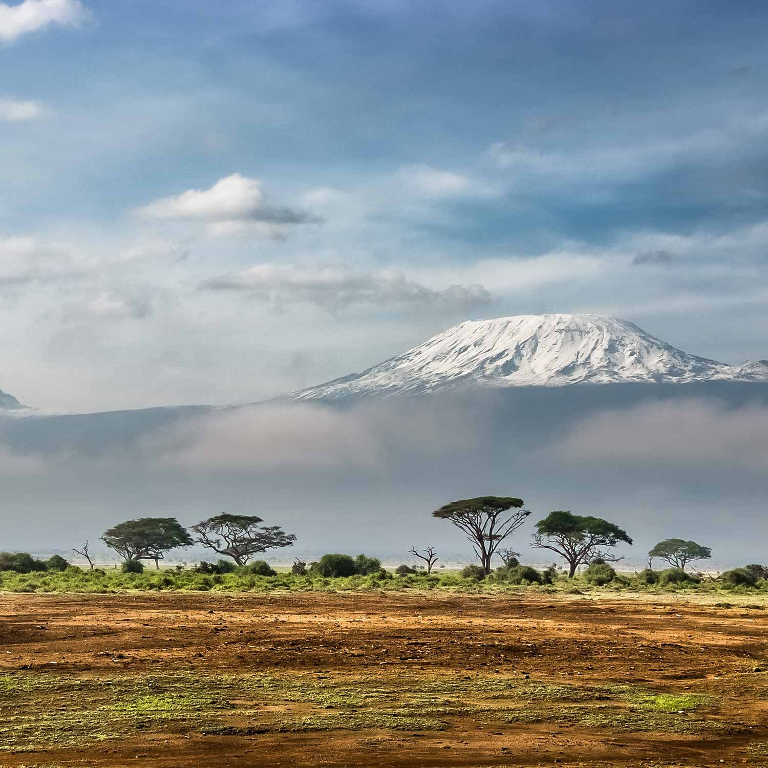 kilimanjaro-1500