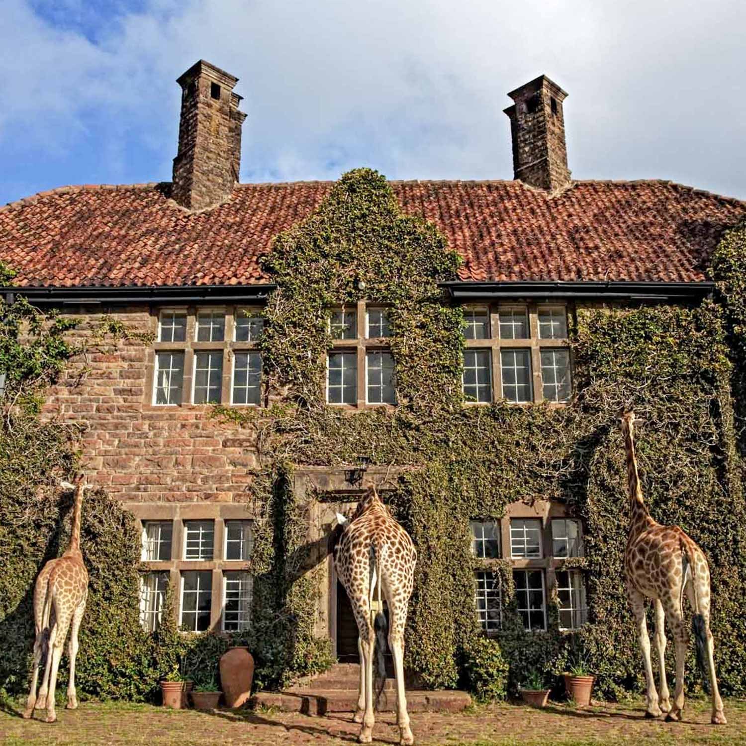 micato-giraffe_manor_2-1500