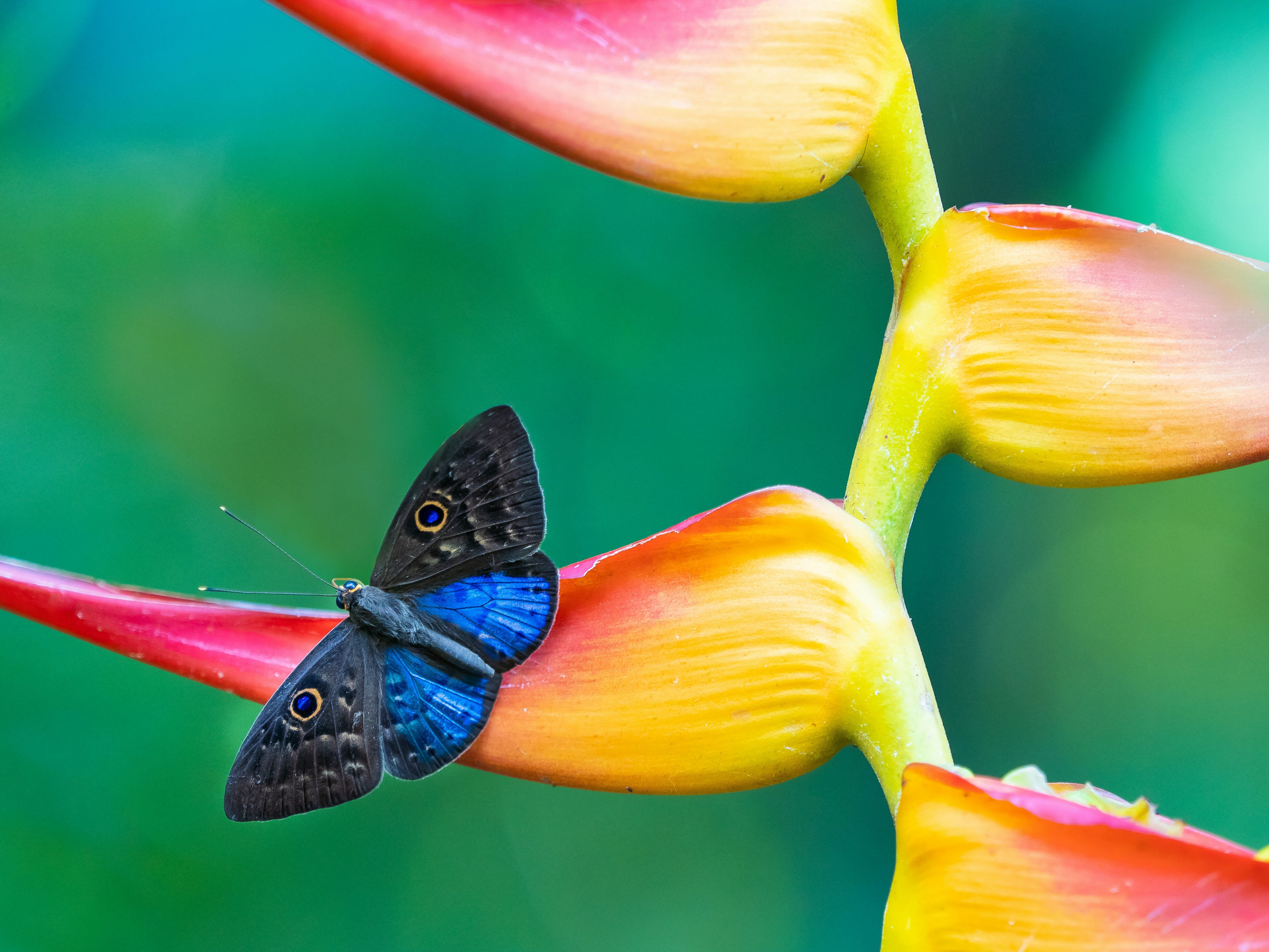 william-warby-UFi82BAz71E-unsplash